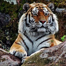 ������, ������������, 39 ���