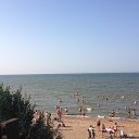  , -, 54  -  10  2016   