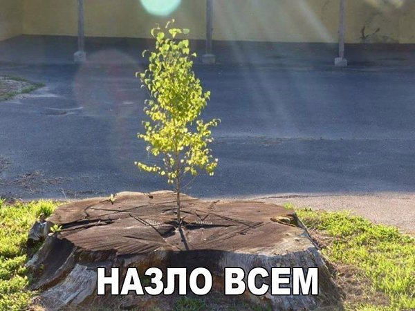 ,   ,    - 23  2017  08:54
