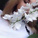 ���� ����, �����-���������, 23 ���� - ��������� 17 �������� 2016 � ������ ���� ����������