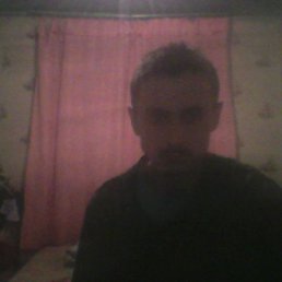 , 44 , 