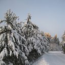 ���� �����, ��������� - ��������� 24 ������ 2017 � ������ ���� ����������
