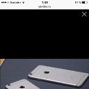 ���� �����, ������, 43 ���� - ��������� 31 ������ 2017 � ������ ���� ����������