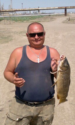 �����, ��������, 52 ����