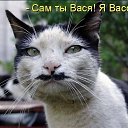 ���� Vasil, ������, 44 ���� - ��������� 23 ������� 2017 � ������ ������ ��������