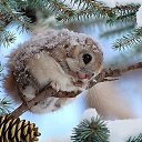 ���� �����, ����������� - ��������� 8 ������� 2016 � ������ ������ ��������