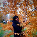 ���� �������, ����������, 44 ���� - ��������� 5 ������ 2016 � ������ ���� ����������