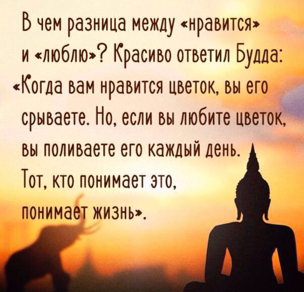 LIFE -  - 5  2017  19:35