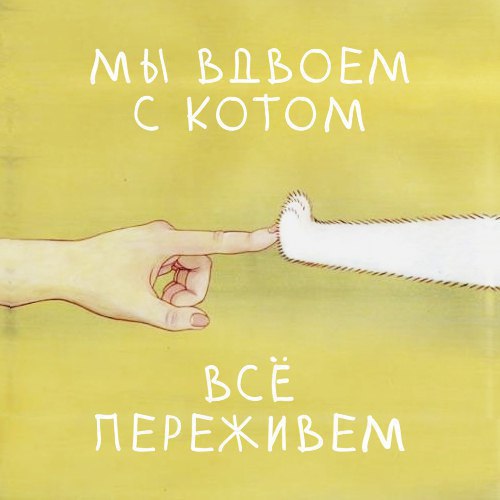  - 19  2016  17:50