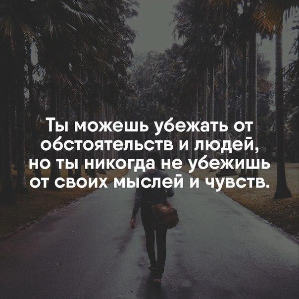 LIFE -  - 17  2016  23:05