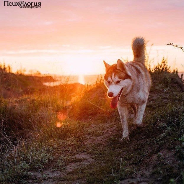      .1.    10-30 .  , ...