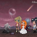 ���� ����������, �����, 42 ���� - ��������� 28 ������ 2016 � ������ �Tropikania�