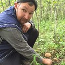 ���� ������, �����, 43 ���� - ��������� 25 ������� 2016 � ������ ���� ����������