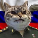 ��� ( ������� ���������� ������ ) ...))) �� ������� ���� ����������