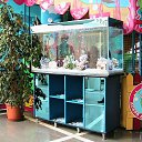 ���� ���������, ����������� - ��������� 27 ����� 2017 � ������ ������ ��������