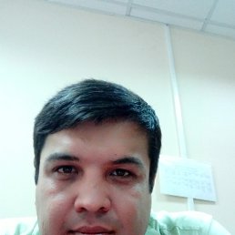 ���� �����, �������, 41 ��� - ��������� 23 �������� 2016