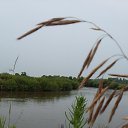 ���� ����, ���������, 67 ��� - ��������� 8 ������ 2016 � ������ ���� ����������