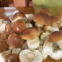 ���� ���������, ������ - ��������� 25 �������� 2016 � ������ ���������� ������