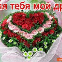 ���� ������, ������-��-����, 65 ��� - ��������� 26 ������ 2016 � ������ ���� ���������