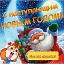 ���� ����, ���������, 41 ��� - ��������� 3 ������� 2017 � ������ ���� ����������