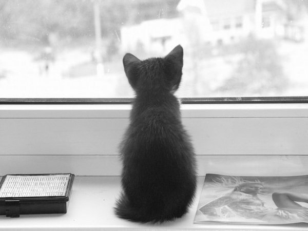 Ты живешь и думаешь, что ничего в твоей жизни не меняется. Но, оглянувшись в прошлое, понимаешь, что ...