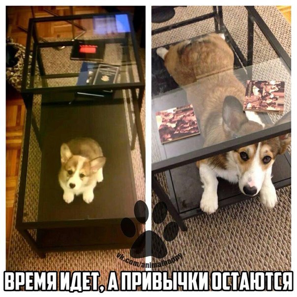    - 29  2017  20:17