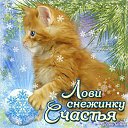 ���� �����, ���������, 67 ��� - ��������� 27 ������� 2016 � ������ ������ ��������