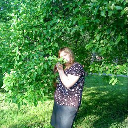 ���������, ���������, 40 ���