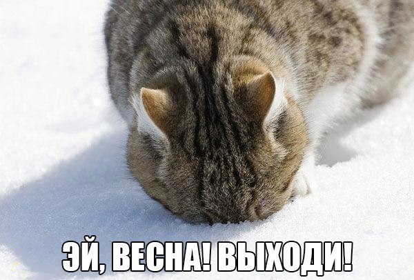   - 1  2017  12:30