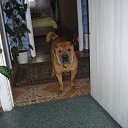 ��� ��������...�����. �� ������� ���� ����������