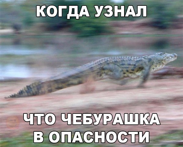    :D - 13  2017  13:34
