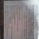 ���� ������, ��������, 31 ��� - ��������� 25 ������ 2017 � ������ ������ ��������