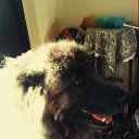 ���� ����, ������ - ��������� 29 ����� 2017 � ������ ���� ����������