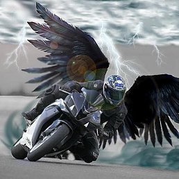 ����, ����, 44 ����