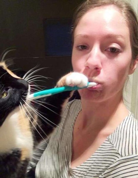         =^.^= - 5