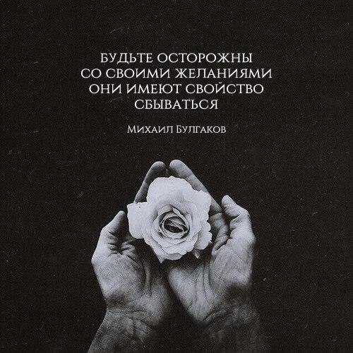  | ,  - 29  2016  13:27