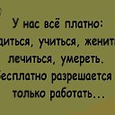  , , 55  -  11  2017    