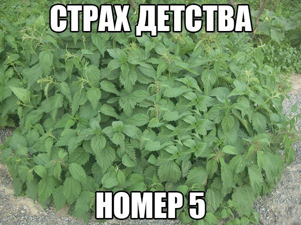  . - 5