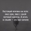 ���� ������, ������ - ��������� 26 ������ 2017 � ������ ���� ����������