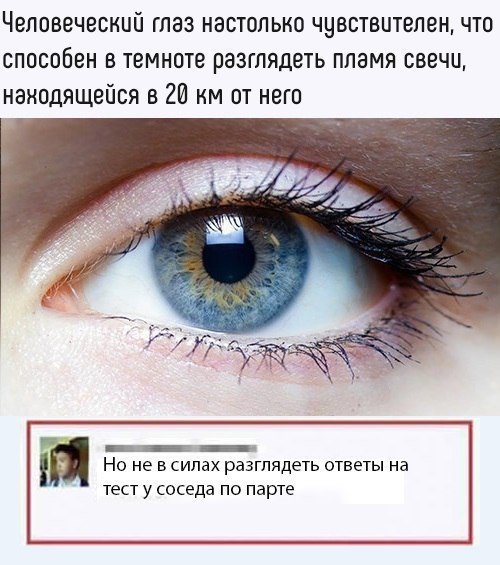  - 1  2016  10:14