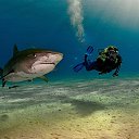 ���� ������, ������ - ��������� 23 ������� 2016 � ������ ����� ��� �������