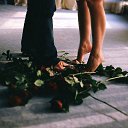 ���� �����, ��������� - ��������� 14 ������� 2016 � ������ ������ ��������