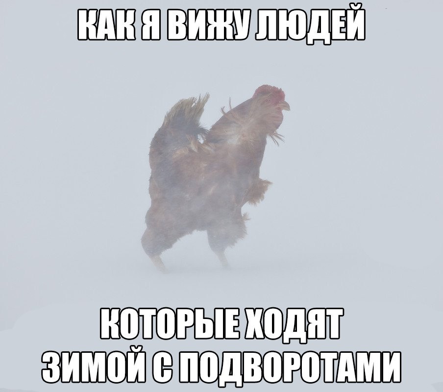 ׸  - 21  2017  13:53