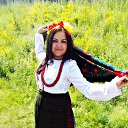  Viva_la_vita,  -  3  2016    