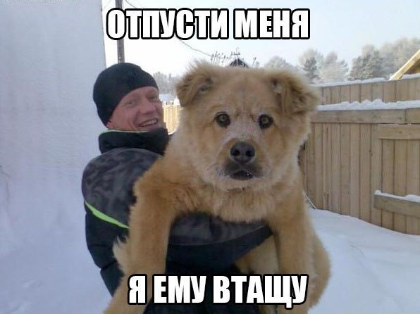    :-) - 2  2016  06:02