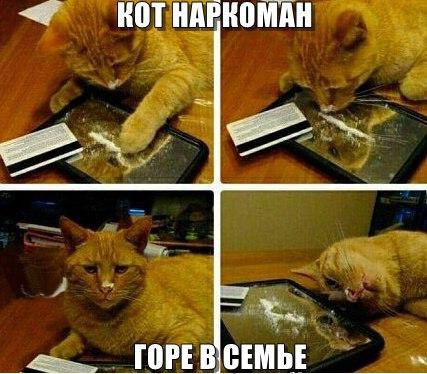    :-) - 27  2016  17:37