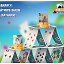  , , 42  -  6  2017    -