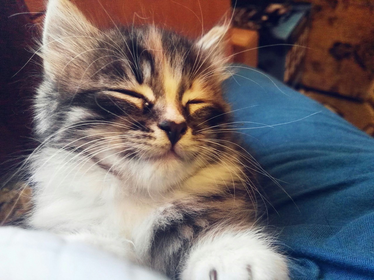  ! :)