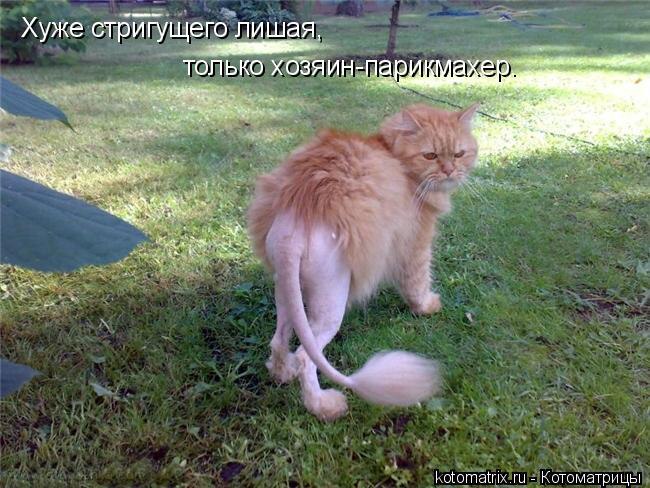 )))