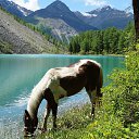  , -, 53  -  7  2016    .